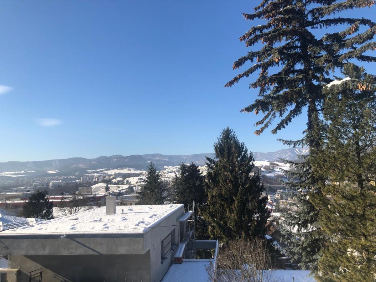 Apartment, Sun Terrace, Privat Parking Banská Bystrica Buitenkant foto
